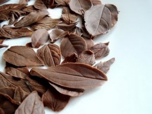 chocolate leaves_thessmama